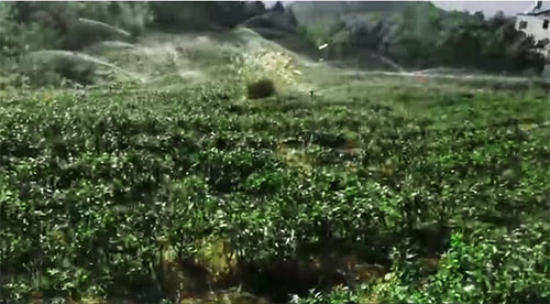 六盤水茶園91水蜜桃在线观看項目