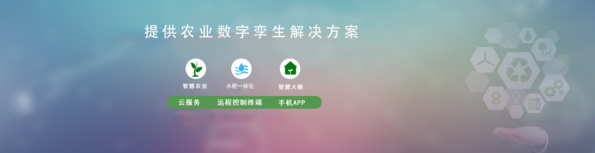 節水91水蜜桃在线观看