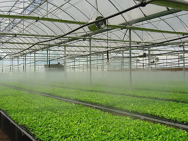 91水蜜桃在线观看係統 91水蜜桃在线观看係統