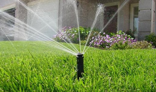 節水91水蜜桃在线观看