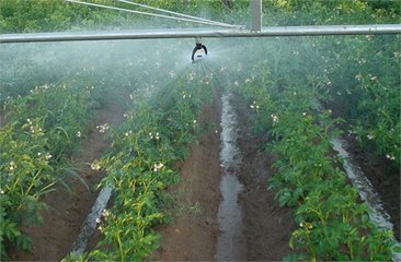 節水91水蜜桃在线观看廠家
