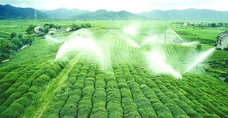 91水蜜桃在线观看係統廠家