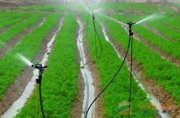自動灌溉控製器 自動灌溉控製器